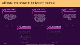 Different Exit Strategies For Jewelry Business Ornaments Photography Business BP SS