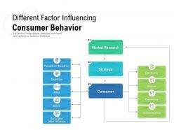 Different Factor Influencing Consumer Behavior