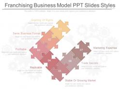 Different franchising business model ppt slides styles