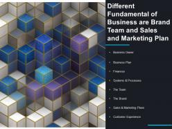 Different Fundamental Of Business Are Brand Team And Sales And Marketing Plan