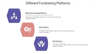 Different Fundraising Platforms Ppt Powerpoint Presentation Outline Portrait Cpb