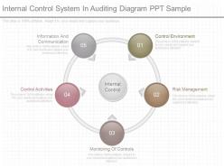 Different internal control system in auditing diagram ppt sample