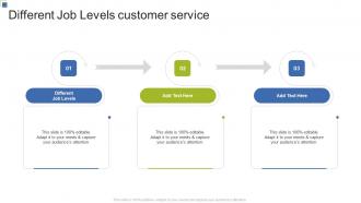 Different Job Levels customer service In Powerpoint And Google Slides Cpb
