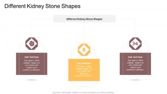 Different Kidney Stone Shapes In Powerpoint And Google Slides Cpb