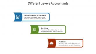Different levels accountants ppt powerpoint presentation icon graphic images cpb