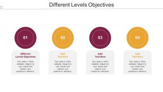 Different Levels Objectives Ppt Powerpoint Presentation Styles Diagrams Cpb