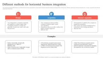 Different Methods For Horizontal Business Integration Business Integration Strategy Strategy SS V