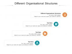 Different organisational structures ppt powerpoint presentation show example file cpb