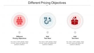 Different Pricing Objectives Ppt Powerpoint Presentation Deck Cpb