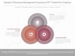 Different sample of business management experience ppt powerpoint graphics