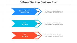 Different sections business plan ppt powerpoint presentation portfolio grid cpb