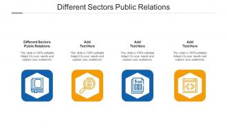 Different Sectors Public Relations Ppt Powerpoint Presentation Summary Graphics Design Cpb