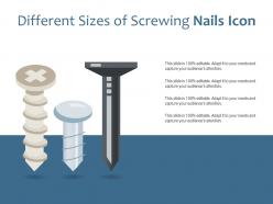 Different sizes of screwing nails icon