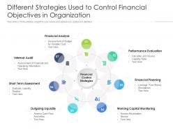 Different strategies used to control financial objectives in organization