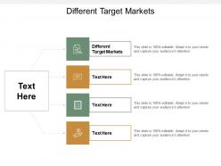 Different target markets ppt powerpoint presentation gallery example topics cpb