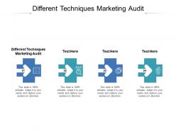 Different techniques marketing audit ppt powerpoint presentation infographic cpb
