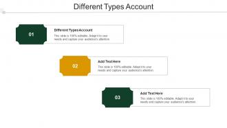 Different Types Account Ppt Powerpoint Presentation Professional Example File Cpb