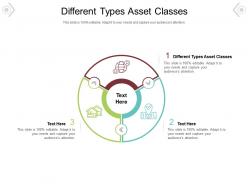 Different types asset classes ppt powerpoint presentation gallery slides cpb