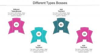 Different Types Bosses Ppt Powerpoint Presentation Gallery Clipart Images Cpb