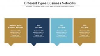 Different Types Business Networks Ppt Powerpoint Presentation Model Demonstration Cpb