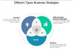 Different types business strategies ppt powerpoint presentation professional maker cpb