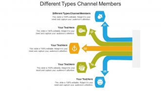 Different types channel members ppt powerpoint presentation summary design ideas cpb
