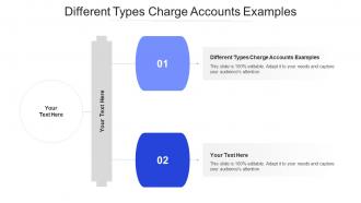 Different Types Charge Accounts Examples Ppt Powerpoint Presentation Slides Styles Cpb