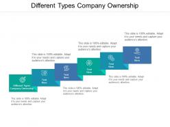 Different types company ownership ppt powerpoint presentation file inspiration cpb