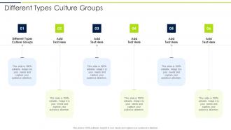 Different Types Culture Groups In Powerpoint And Google Slides Cpb