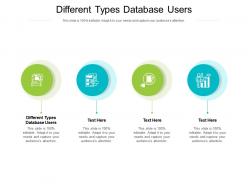 Different types database users ppt powerpoint presentation file maker cpb