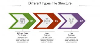 Different types file structure ppt powerpoint presentation inspiration shapes cpb
