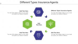 Different Types Insurance Agents Ppt Powerpoint Presentation Portfolio Cpb