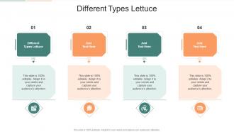 Different Types Lettuce In Powerpoint And Google Slides Cpb