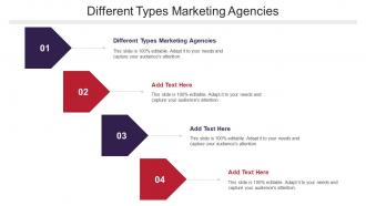 Different Types Marketing Agencies Ppt Powerpoint Presentation Summary Cpb