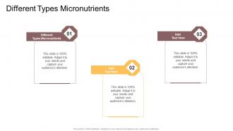 Different Types Micronutrients In Powerpoint And Google Slides Cpb