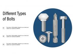 Different Types Of Bolts