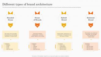 Different Types Of Brand Architecture Co Branding Strategy For Product Awareness
