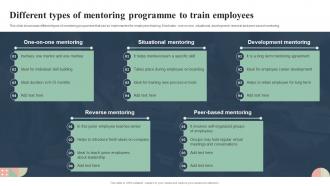 Different Types Of Mentoring Programme To Train Mentoring Plan For Employee Growth And Development