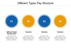 Different types pay structure ppt powerpoint presentation icon grid cpb