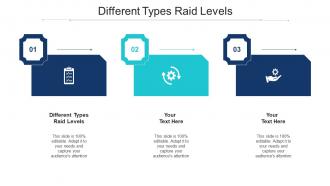 Different Types Raid Levels Ppt Powerpoint Presentation Styles Tips Cpb