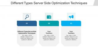 Different types server side optimization techniques ppt powerpoint presentation show example cpb
