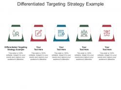 Differentiated targeting strategy example ppt powerpoint presentation layouts objects cpb