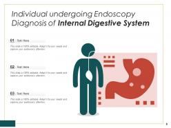 Digestive individual system anatomy intestines