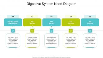 Digestive System Ncert Diagram In Powerpoint And Google Slides Cpb