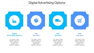 Digital Advertising Options Ppt Powerpoint Presentation Slides Ideas Cpb