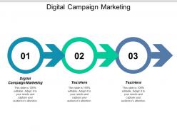 Digital campaign marketing ppt powerpoint presentation icon picture cpb