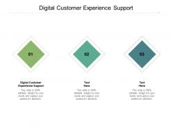 Digital customer experience support ppt powerpoint presentation professional cpb