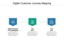 Digital customer journey mapping ppt powerpoint presentation layouts slide portrait cpb