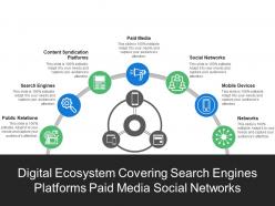 Digital ecosystem covering search engines platforms paid media social networks