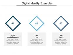 Digital identity examples ppt powerpoint presentation slides rules cpb
